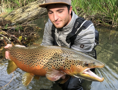 parcours nymphe dans les Pyrénées espagnoles