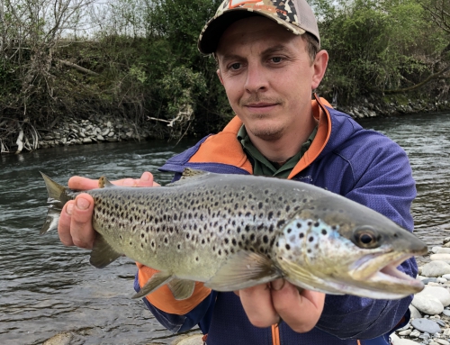 Nymphe au fil en Garonne