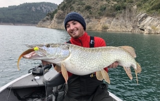 Brochet dans les Pyrénées espagnoles