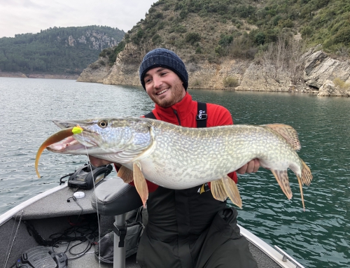 Brochet dans les Pyrénées espagnoles