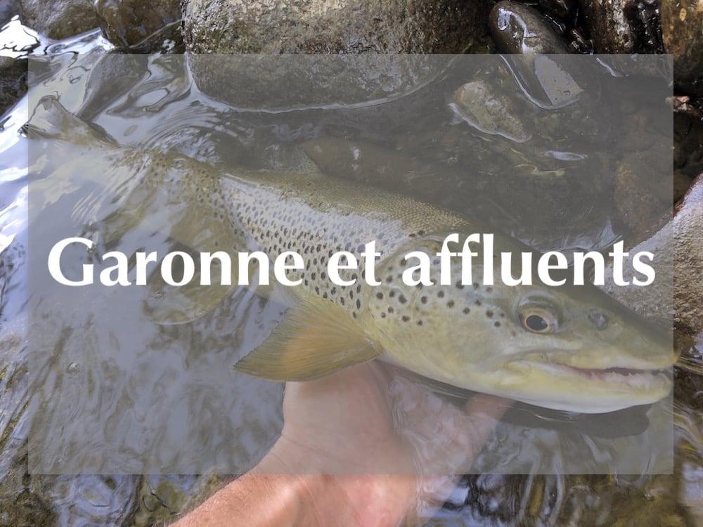 Pêche guidée Garonne