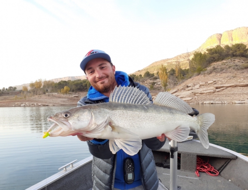 Carnassier